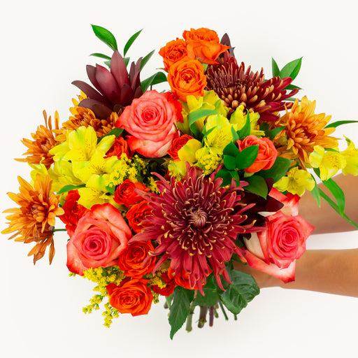 The Autumn Blush