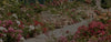 nybg flower subscription boxes