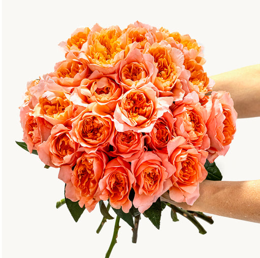 The Peach Chiffon