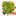 Kiwi Dream Hydrangea
