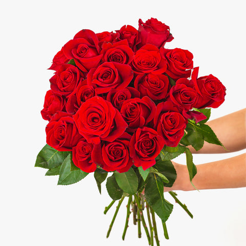 Red Rose Bouquet - Flash Sale