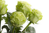 Green Rose Bouquet