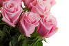 Pink Rose Bouquet